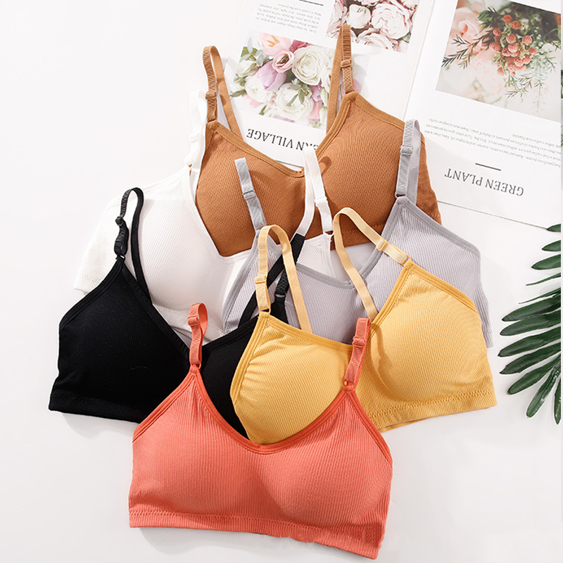 Summer Wire Free Bra Women Sea - T Shirt Bra Seamless ulasan dan harga