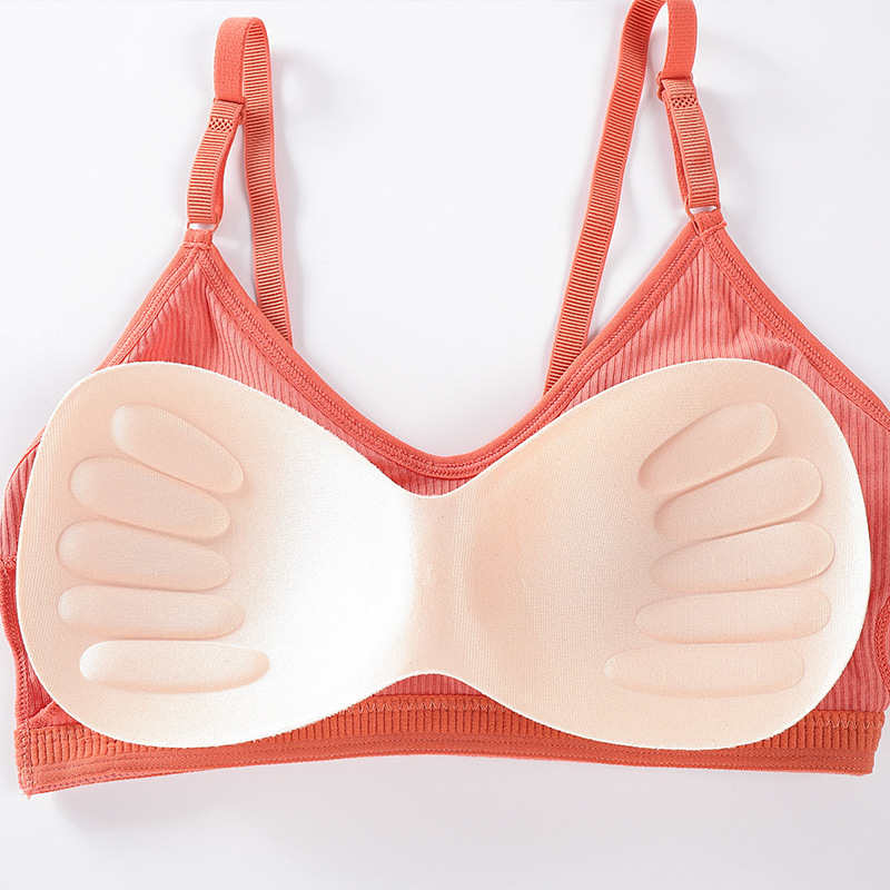 Summer Wire Free Bra Women Sea - T Shirt Bra Seamless ulasan dan harga